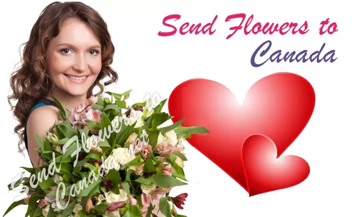 Send Flowers To Canada