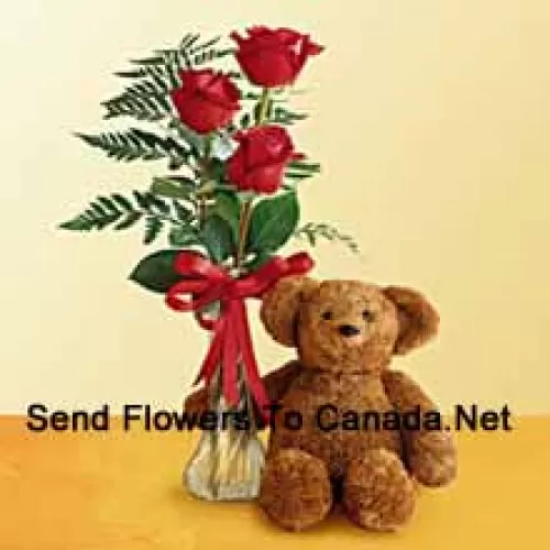 3 Red Roses With Some Ferns In A Glass Vase Along With A Cute 12 Inches Tall Teddy Bear