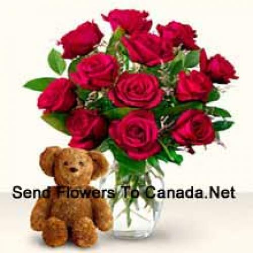 11 Red Roses with Cute 12 Inch Teddy