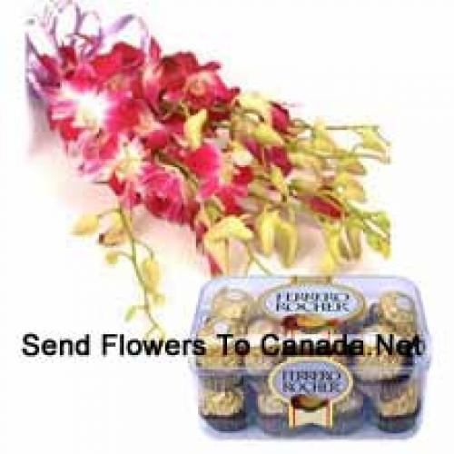 Charming Pink Orchids with 16 Pcs Ferrero Rochers