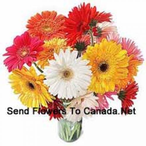 19 Cute Mixed Gerberas