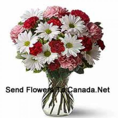 Cute 25 Carnations and Gerberas