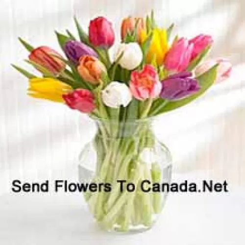 Mixed Colored Tulips In A Glass Vase - Please Note That In Case Of Non-Availability Of Certain Seasonal Flowers The Same Will Be Substituted With Other Flowers Of Same Value