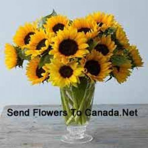 Lovely Sunflowers in Vase