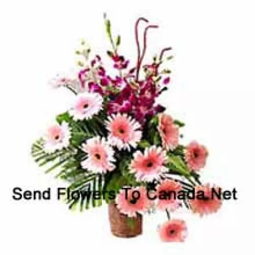 Basket Of Orchids And Gerberas