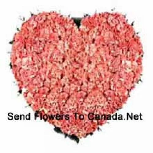 Heart Shaped Arrangement Of 101 Pink Carnations