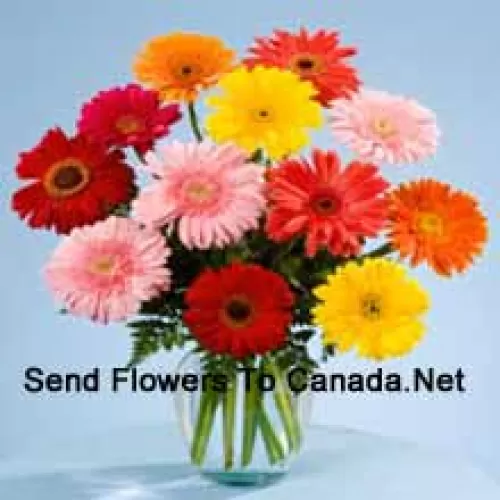 11 Mixed Colored Gerberas In A Vase