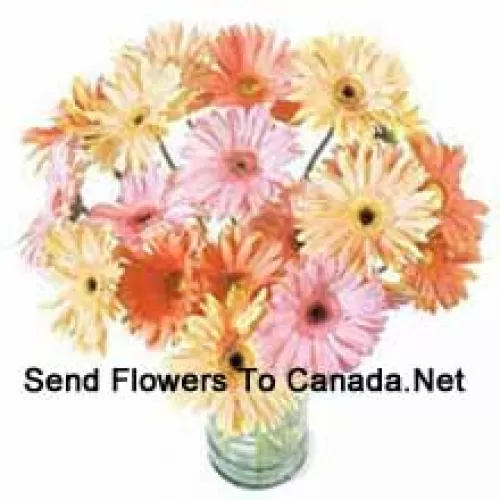 25 Mixed Colored Gerberas In A Vase