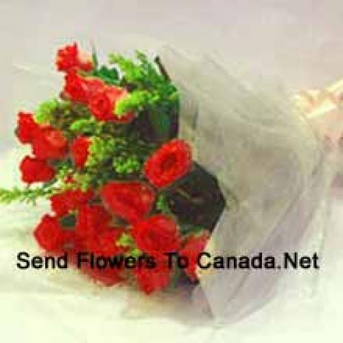 11 Exotic Red Roses