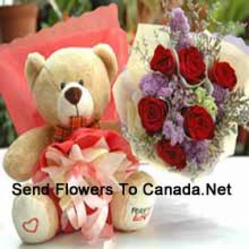 Beautiful Teddy with Lovely 7 Roses