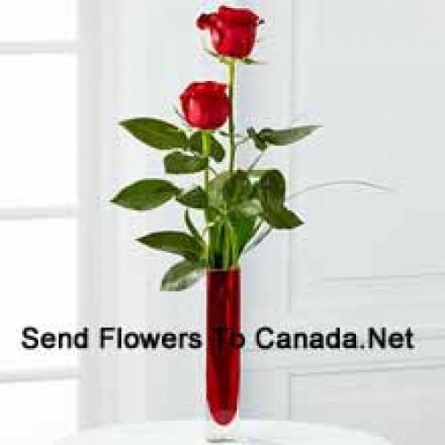 2 Sweet Red Roses in Vase