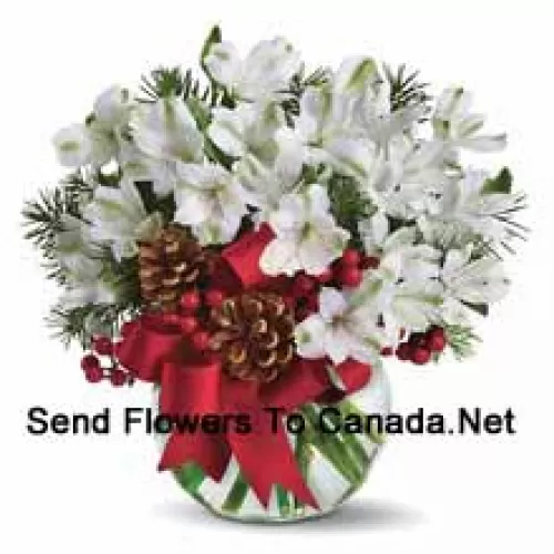 Share the magic of a white Christmas with this cheery bouquet of snowy white alstroemeria blossoms arranged in vase with festive holiday trim. (Please Note That We Reserve The Right To Substitute Any Product With A Suitable Product Of Equal Value In Case Of Non-Availability Of A Certain Product)